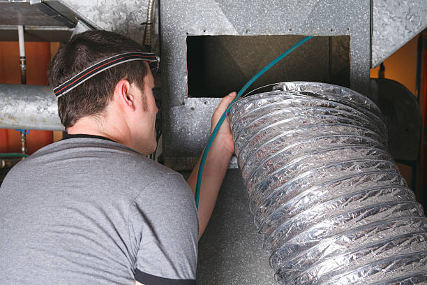 Best Air Duct Sanitizing Services  in Hebron, IL